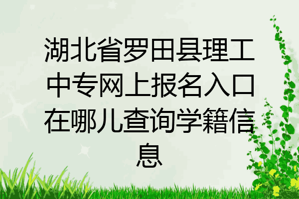 湖北省罗田县理工中专网上报名入口在哪儿查询学籍信息