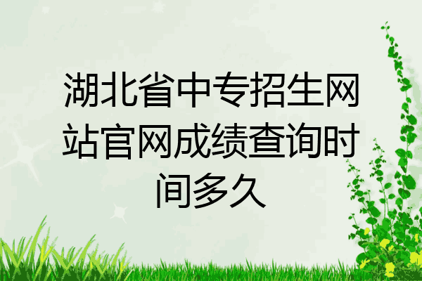湖北省中专招生网站官网成绩查询时间多久