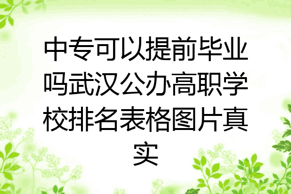 中专可以提前毕业吗武汉公办高职学校排名表格图片真实