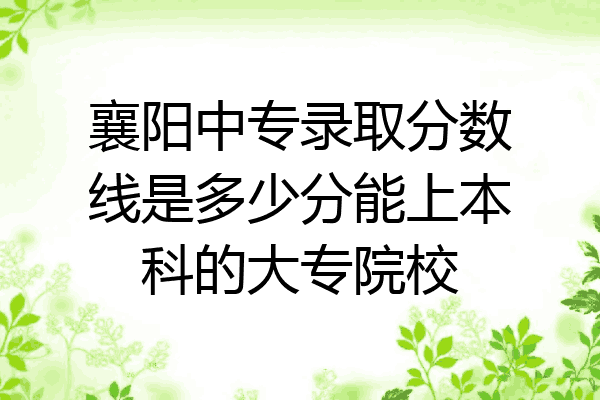 襄阳中专录取分数线是多少分能上本科的大专院校