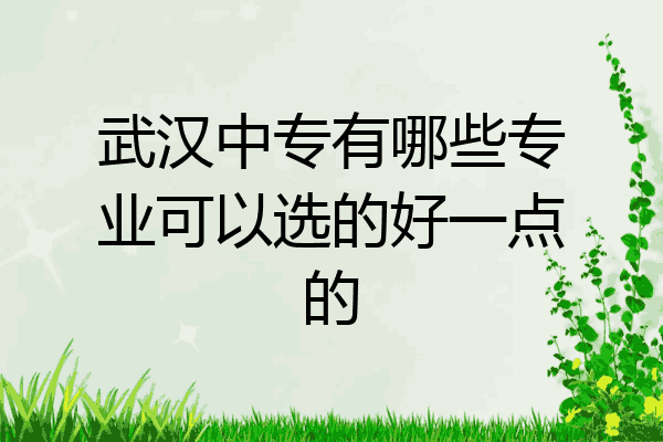 武汉中专有哪些专业可以选的好一点的