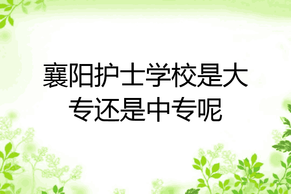 襄阳护士学校是大专还是中专呢