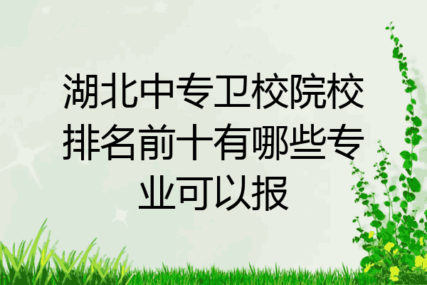 湖北中专卫校院校排名前十有哪些专业可以报
