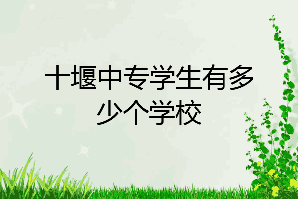 十堰中专学生有多少个学校