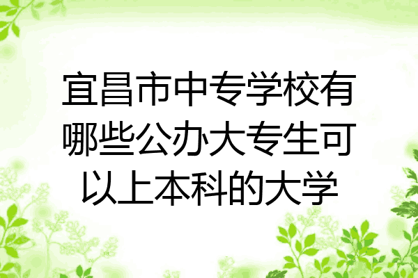 宜昌市中专学校有哪些公办大专生可以上本科的大学
