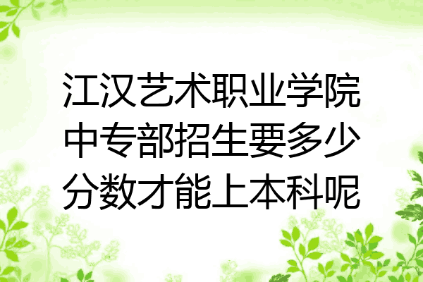 江汉艺术职业学院中专部招生要多少分数才能上本科呢
