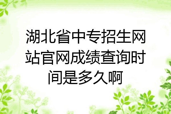 湖北省中专招生网站官网成绩查询时间是多久啊
