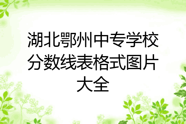 湖北鄂州中专学校分数线表格式图片大全