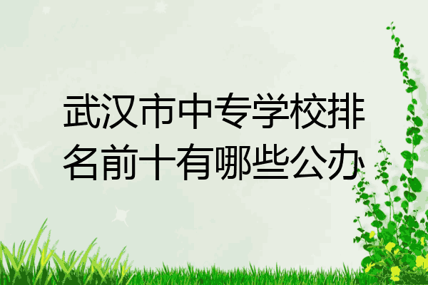 武汉市中专学校排名前十有哪些公办