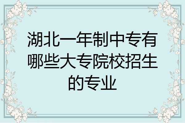 湖北一年制中专有哪些大专院校招生的专业