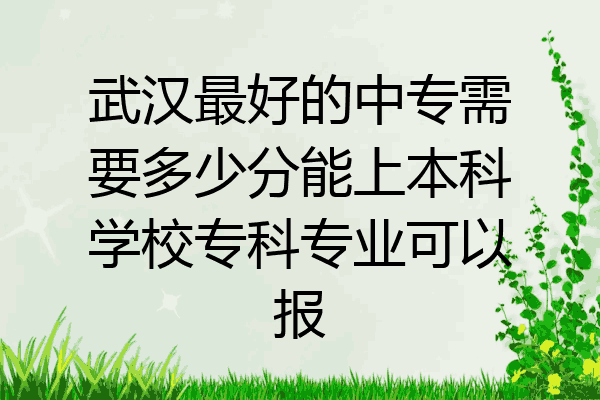 武汉最好的中专需要多少分能上本科学校专科专业可以报