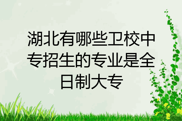 湖北有哪些卫校中专招生的专业是全日制大专