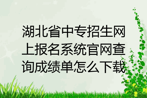 湖北省中专招生网上报名系统官网查询成绩单怎么下载