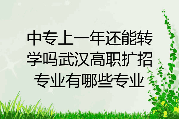 中专上一年还能转学吗武汉高职扩招专业有哪些专业