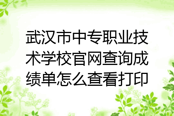 武汉市中专职业技术学校官网查询成绩单怎么查看打印