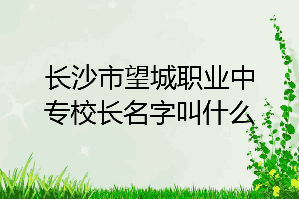 长沙市望城职业中专校长名字叫什么
