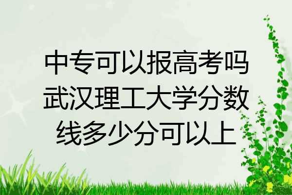中专可以报高考吗武汉理工大学分数线多少分可以上