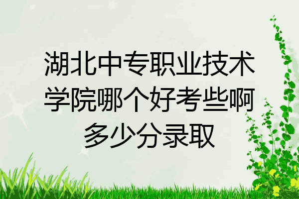 湖北中专职业技术学院哪个好考些啊多少分录取