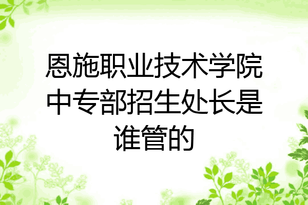 恩施职业技术学院中专部招生处长是谁管的