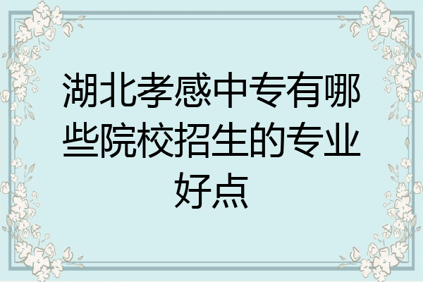 湖北孝感中专有哪些院校招生的专业好点
