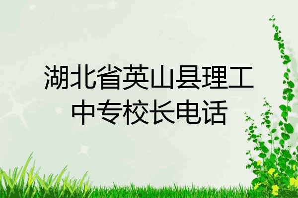 湖北省英山县理工中专校长电话