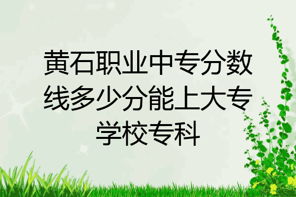 黄石职业中专分数线多少分能上大专学校专科