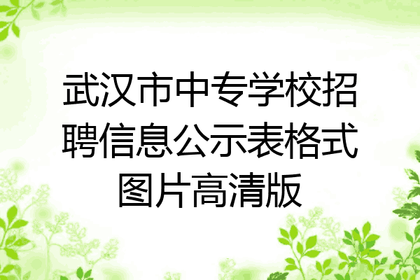 武汉市中专学校招聘信息公示表格式图片高清版