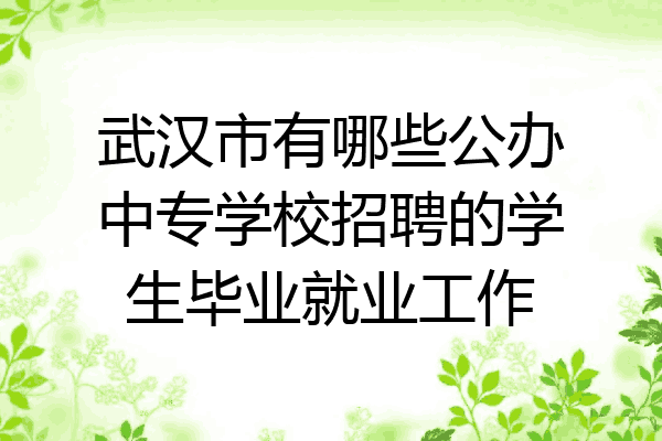 武汉市有哪些公办中专学校招聘的学生毕业就业工作
