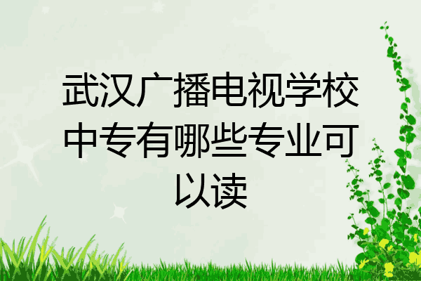 武汉广播电视学校中专有哪些专业可以读
