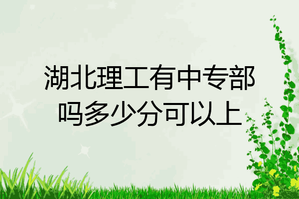 湖北理工有中专部吗多少分可以上
