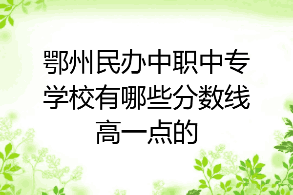 鄂州民办中职中专学校有哪些分数线高一点的