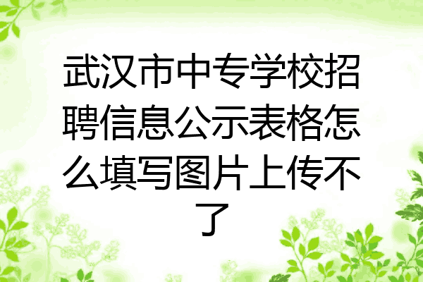 武汉市中专学校招聘信息公示表格怎么填写图片上传不了
