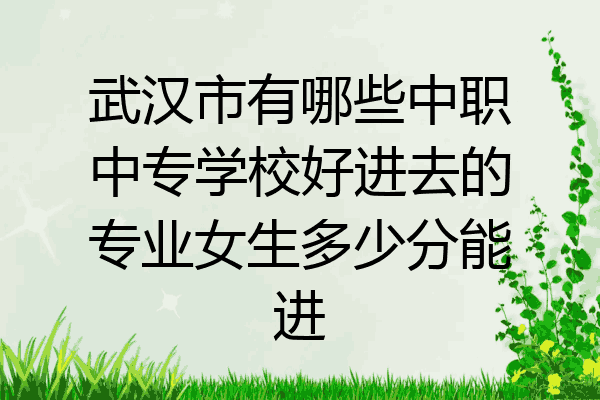 武汉市有哪些中职中专学校好进去的专业女生多少分能进