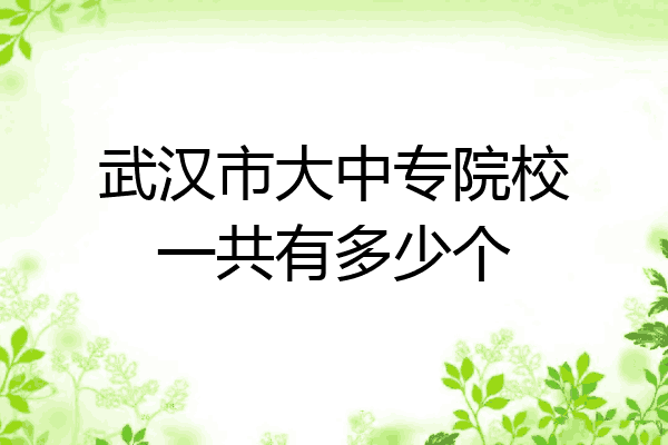 武汉市大中专院校一共有多少个