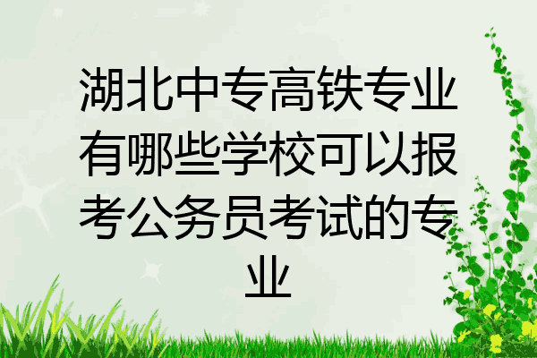 湖北中专高铁专业有哪些学校可以报考公务员考试的专业