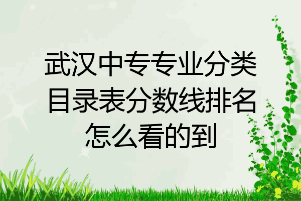 武汉中专专业分类目录表分数线排名怎么看的到