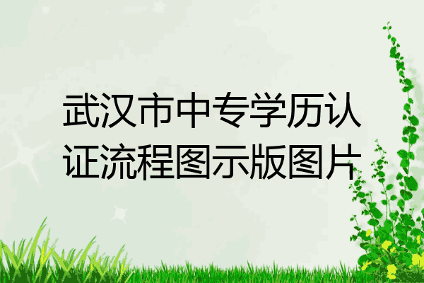 武汉市中专学历认证流程图示版图片