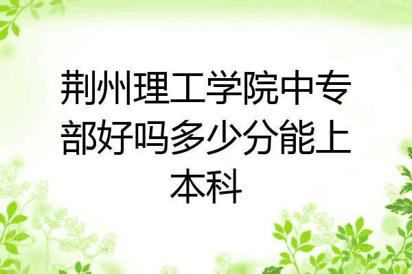 荆州理工学院中专部好吗多少分能上本科