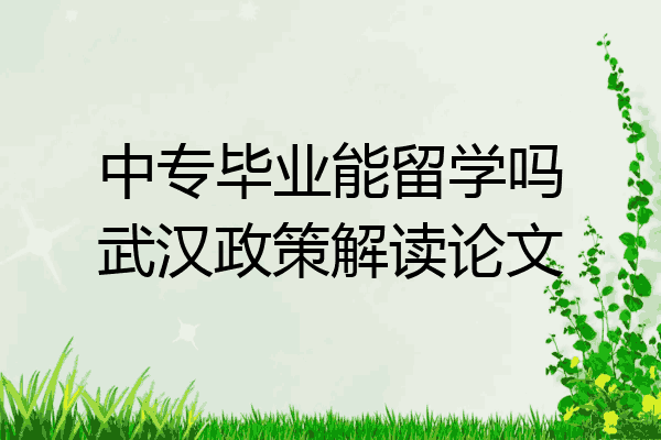 中专毕业能留学吗武汉政策解读论文