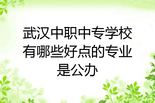 武汉中职中专学校有哪些好点的专业是公办