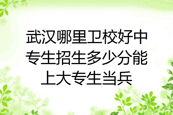 武汉哪里卫校好中专生招生多少分能上大专生当兵