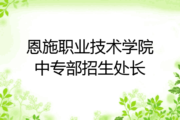 恩施职业技术学院中专部招生处长