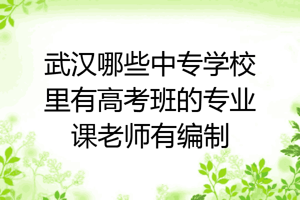 武汉哪些中专学校里有高考班的专业课老师有编制