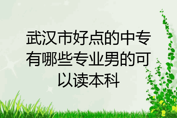 武汉市好点的中专有哪些专业男的可以读本科