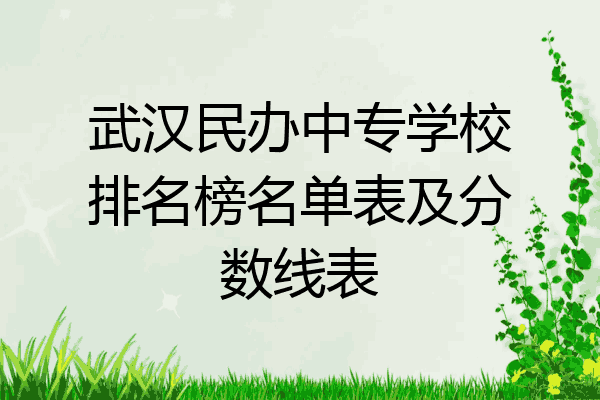 武汉民办中专学校排名榜名单表及分数线表
