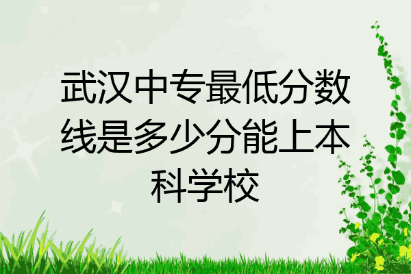 武汉中专最低分数线是多少分能上本科学校