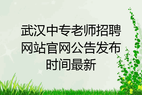 武汉中专老师招聘网站官网公告发布时间最新