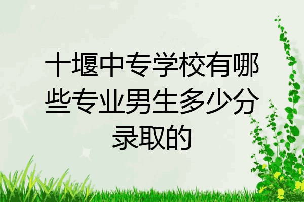 十堰中专学校有哪些专业男生多少分录取的