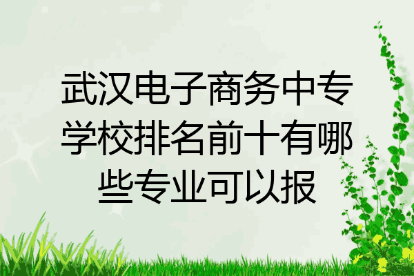 武汉电子商务中专学校排名前十有哪些专业可以报