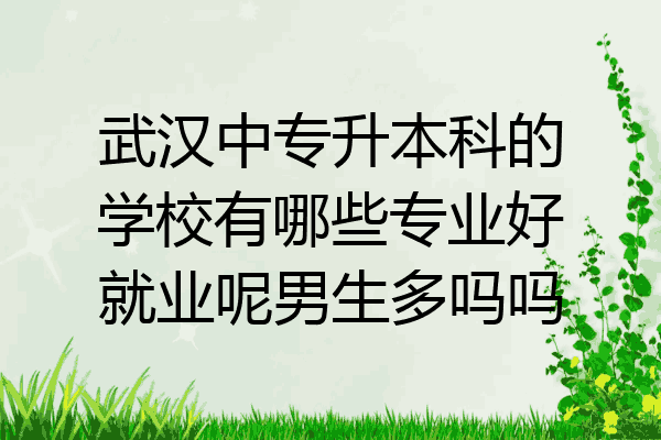 武汉中专升本科的学校有哪些专业好就业呢男生多吗吗